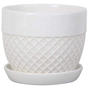6 in. Delilah Glazed Ceramic Planter Pot with Drainage Hole and Saucer